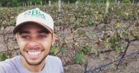 O aluno trabalha com melhoramento genético de uvas